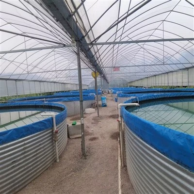 PVC Cov Khoom Siv Ntses Dej Cia